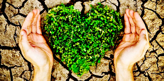 Acı Gerçek: Toprağa Verdiğimiz Hasar, Küresel Isınmayı Hızlandırıyor